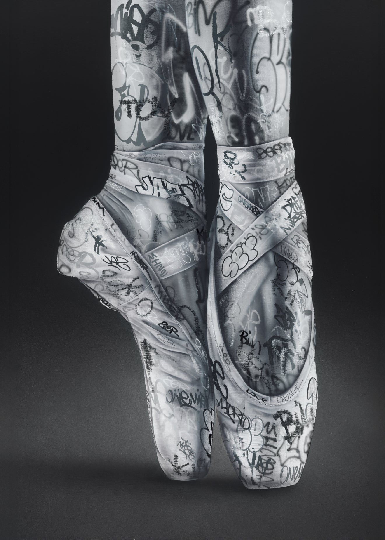 “Le tag des cygnes” - Affiche d’art