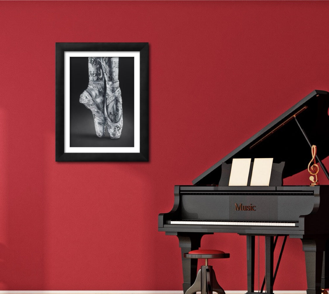 “Le tag des cygnes” - Affiche d’art